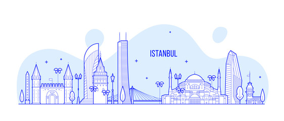 Istanbul skyline Turkey city buildings vector line