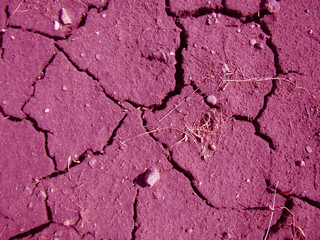 Abstraction - earth with cracks, straws, stones. Primary colors - Rouge, Hopbush, black, white, shades of red.   
