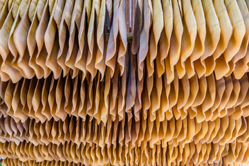 Small rubber industry on Koh Mak Is one of the people's occupations on this island