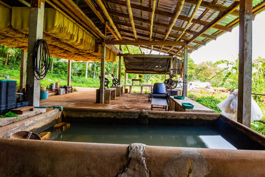 Small rubber industry on Koh Mak Is one of the people's occupations on this island