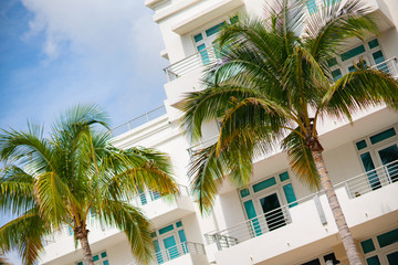 Miami palms and architecture stock image