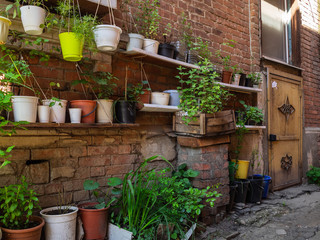 Naklejka premium Brick wall with lots of potted flowers. Colorful pots for home plants