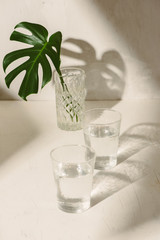Leaf in a glass of water on a white table