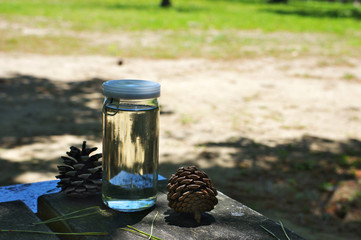 木陰でイッパイ