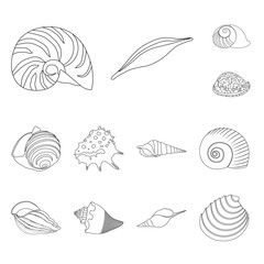 Vector illustration of exotic and seafood  symbol. Set of exotic and aquatic vector icon for stock.