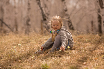 Naklejka na ściany i meble the baby found primroses in the birch grove of Russia