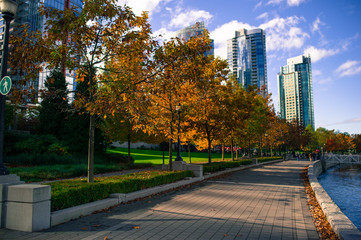 Vancouver autumn