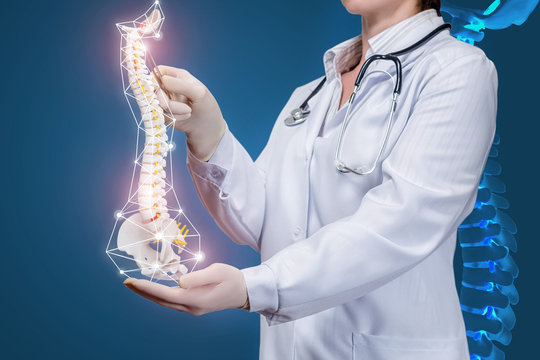 A doctor holding an artificial spine model.