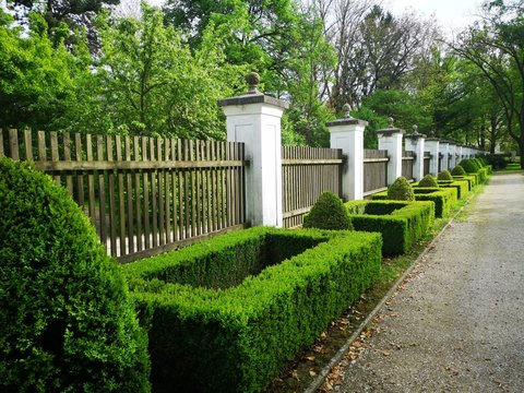 Schloss Garten Mauer, Hecke