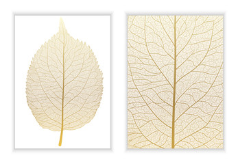 Beautiful background texture leaf  with leaves and space for text. Vector illustration. EPS 10.