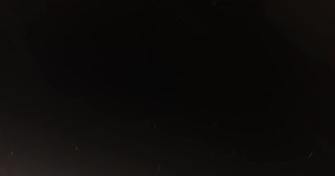 Natural Organic Dust Particles Floating On Black Background