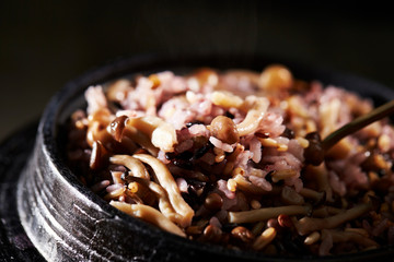 Multi grain rice with mushroom 
