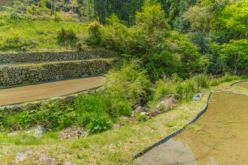 カルスト台地・深山の谷に工夫された棚田