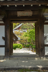 Fototapeta na wymiar Fresh green of Kyoto Enkou-ji