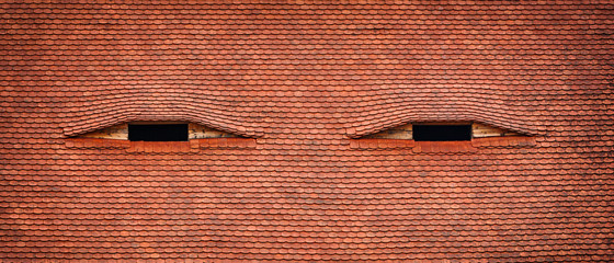 Windows looks like eyes - famous architectural detail in Sibiu, Romania