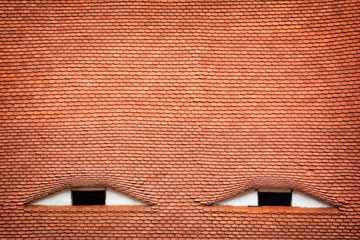 Windows looks like eyes - famous architectural detail in Sibiu, Romania