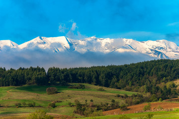 Snowy Pirin mountain in front of green spring meadow, Bulgaria © Petar