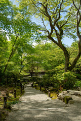  Kyoto is fresh green