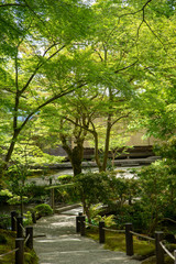  Kyoto is fresh green