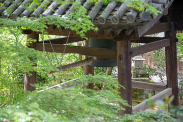  Kyoto is fresh green