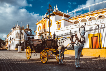 Seville Real Maestranza bullring plaza toros de Sevilla in andalusia Spain