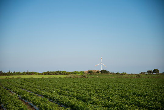 rural landscape with windmill