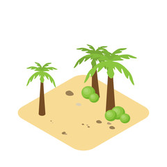 Natural Desert landscape isometric palm trees with tropical land with sand and rocks