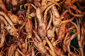 Ginseng root at Chinese herbal medicine market 