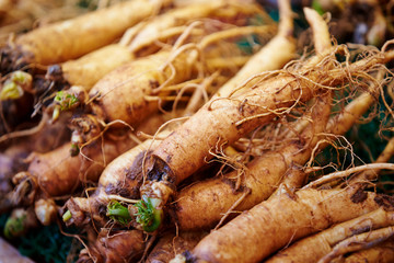 Ginseng root at Chinese herbal medicine market 