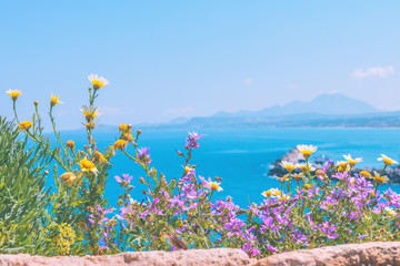 View through wild flower meadow from Fortezza Rethymno over beautiful Cretan seascape