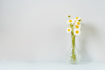 Bouquet of daisies in a glass vase