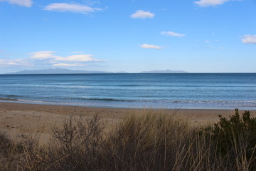 Fototapeta na wymiar A beach in Tasmania Australia