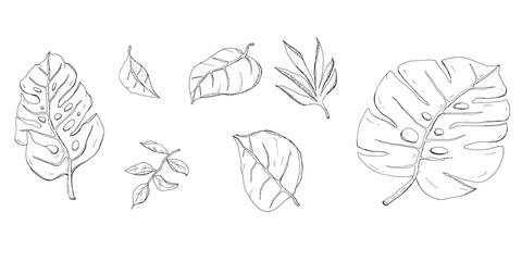 Hand drawn tropical leaves with branches monochrome vector illustration
