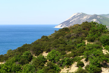 Fototapeta na wymiar mountains with forest on the sea shore in Crimea ant summer time