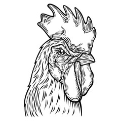 Hand drawn rooster head illustration.  - obrazy, fototapety, plakaty