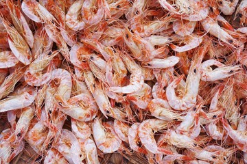 close up dry shrimp for cooking