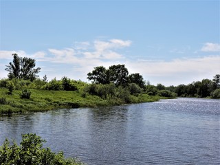 lake in forest