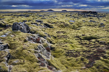 Island Landschaft mit Moos und Lava