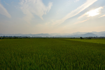 Landscape of nature in Dien Bien Phu North Vietnam.