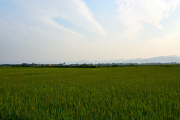 Landscape of nature in Dien Bien Phu North Vietnam.