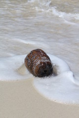 seychelles beach private island coconut