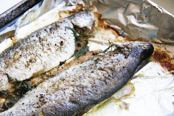 homemade tasty oven baked two trouts