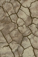 yellow dry land - drought