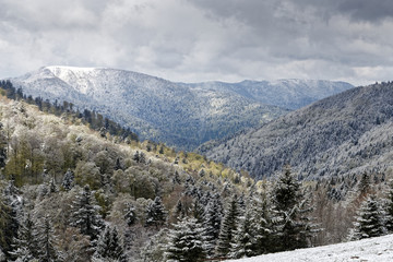 Retour de la neige au printemps