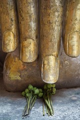 タイ　スコータイ遺跡