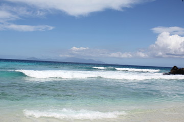 seychelles beach private island coconut