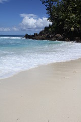 seychelles beach private island coconut