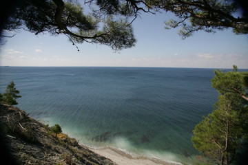 summer languor