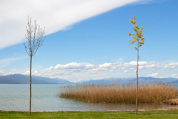 Landscape with two trees against the backdrop of Ohrid Lake and Galichitsa Mountain, Northern Macedonia.