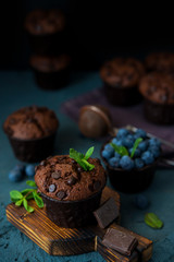 Homemade chocolate muffins with blueberry berries and chocolate drops